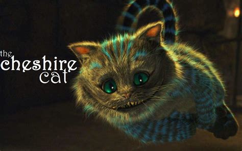 The cheshire - The Cheshire Cat in Once Upon a Time in Wonderland.. The Cheshire Cat is a recurring character in the TV show Once Upon a Time in Wonderland, voiced by Keith David.. Originally a friend of Alice, the Cheshire Cat appears many years later when she returns to Wonderland, now wild, ferocious, and apparently loyal to the …